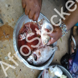 Femme africaine écaillant des poissons : scène de cuisine traditionnelle