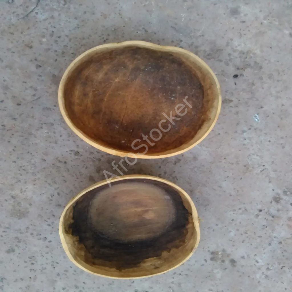 deux petites calebasses africaines naturelles utilisées comme récipients traditionnels
