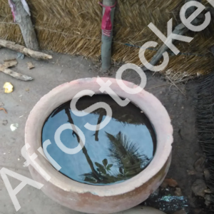 Canari africain rempli d’eau potable : pot en terre cuite traditionnel