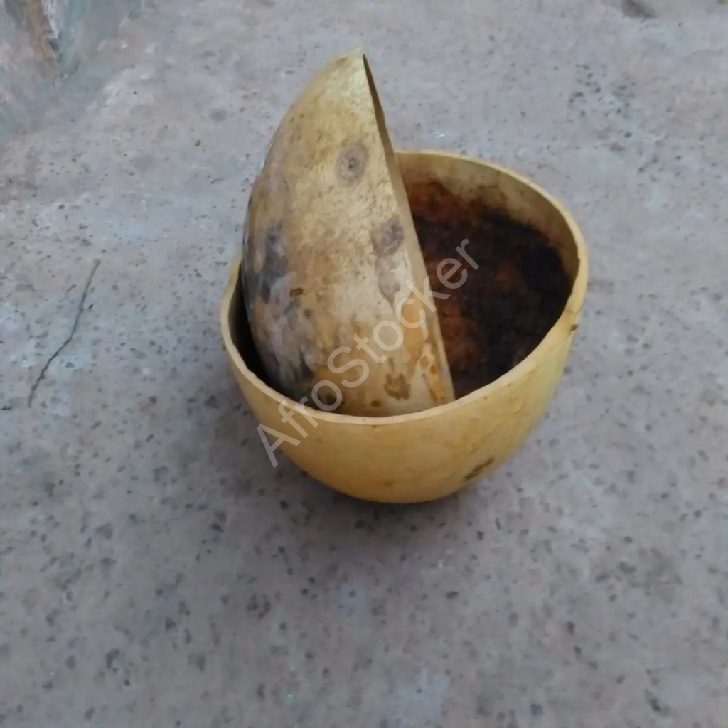 deux calebasses africaines identiques imbriquées après usage ensemble traditionnel artisanat africain