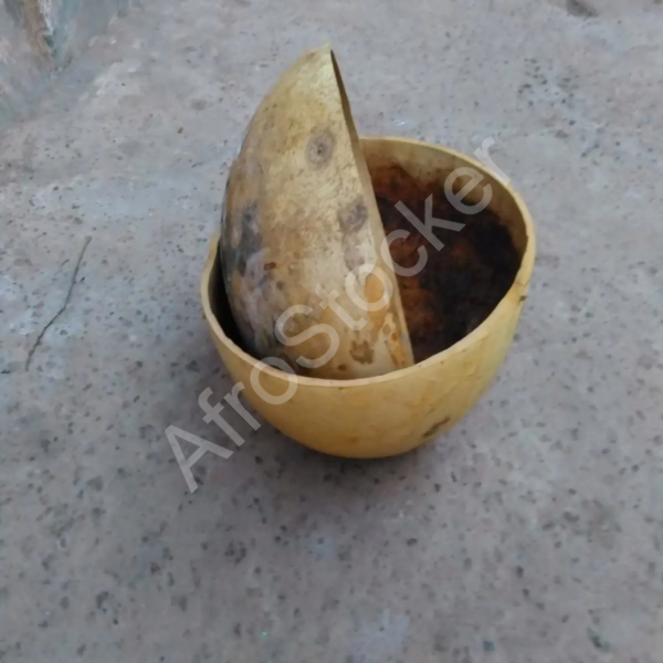 Deux calebasses africaines imbriquées : ensemble traditionnel africain – Image HD