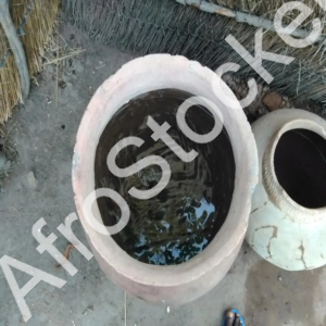 Deux grands canaris africains : objets artisanaux traditionnels côte à côte – Image HD