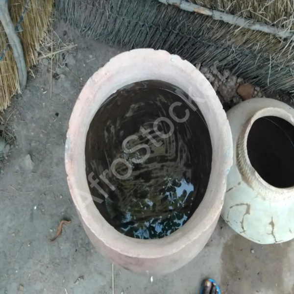 Deux grands canaris africains : objets artisanaux traditionnels côte à côte – Image HD