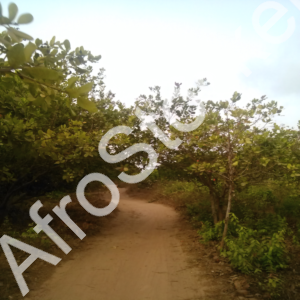 Accès village africain route HD