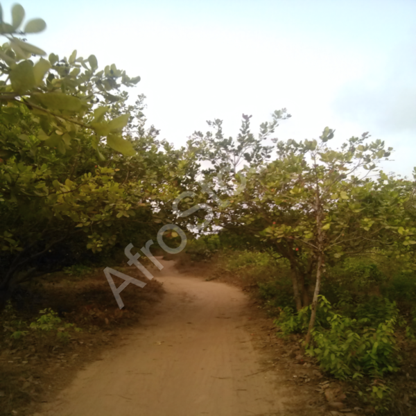 Accès village africain route HD Accès village africain route HD