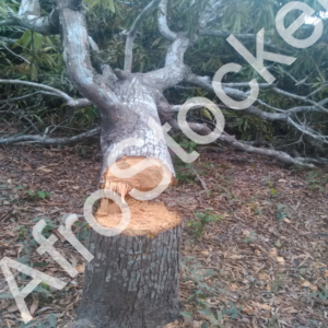 Agriculture menacée sécheresse Afrique HD Agriculture menacée sécheresse Afrique HD