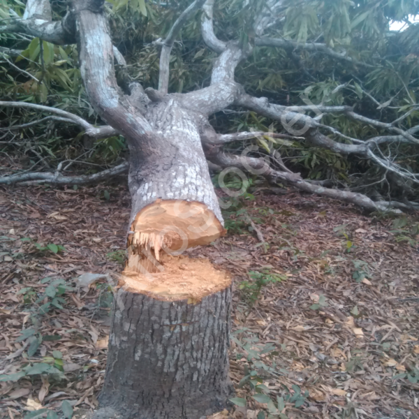 Agriculture menacée sécheresse Afrique HD Agriculture menacée sécheresse Afrique HD
