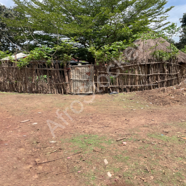 Case au village Afrique HD