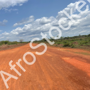 Chemin rural africain authentique paysage naturel