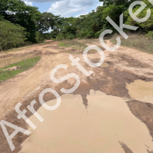 Chemin rural inondé en Afrique communauté locale