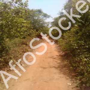 Circulation sur route africaine – vie rurale HD, image village africaine