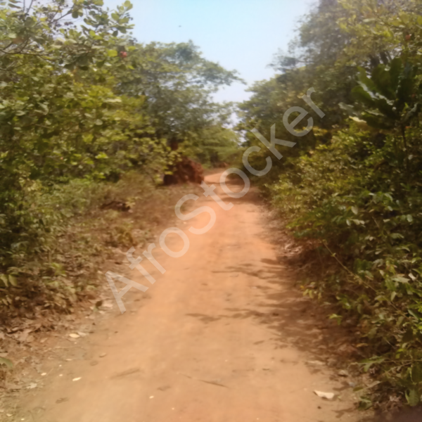 Circulation sur route africaine – vie rurale HD, image village africaine