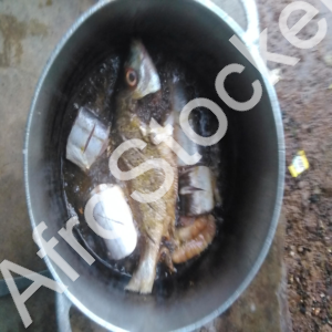 Cuisson de poissons africains – Fourneaux traditionnels – Image HD africaine Cuisson de poissons africains – Fourneaux traditionnels – Image HD africaine