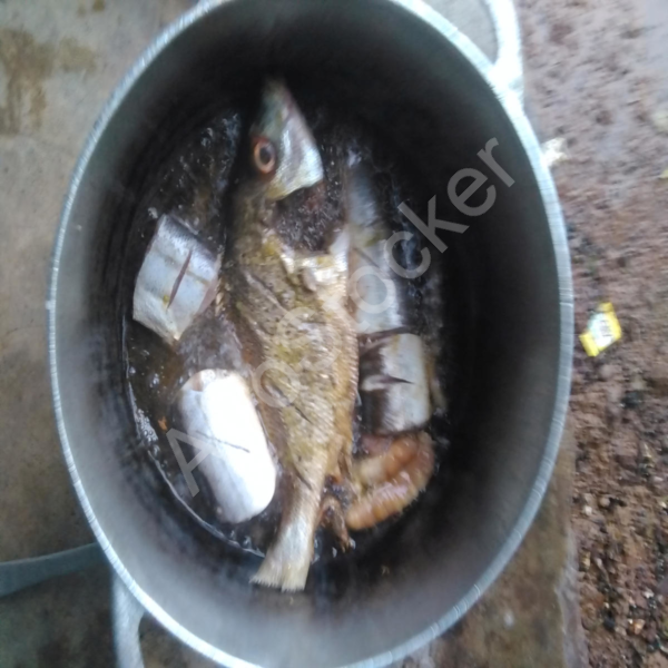 Cuisson de poissons africains – Fourneaux traditionnels – Image HD africaine Cuisson de poissons africains – Fourneaux traditionnels – Image HD africaine