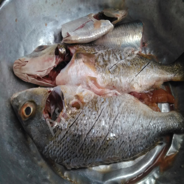 Cuisson de poissons africains – Image HD traditionnelle africaine