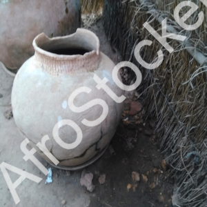 Deux Canaris Africains en Terre Cuite – Artisanat Traditionnel Deux Canaris Africains en Terre Cuite – Artisanat Traditionnel