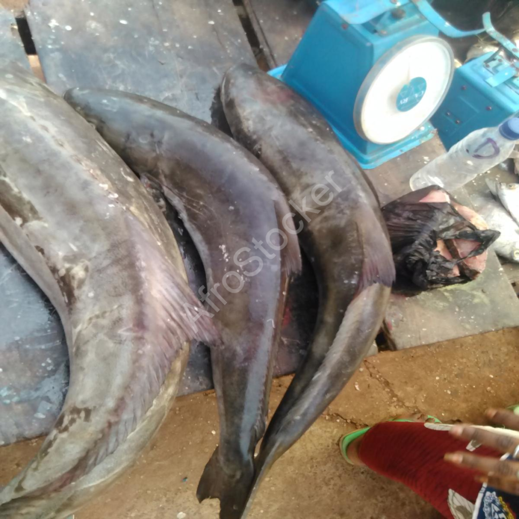 marchande de poisson sur table marché africain fish vendor table african market