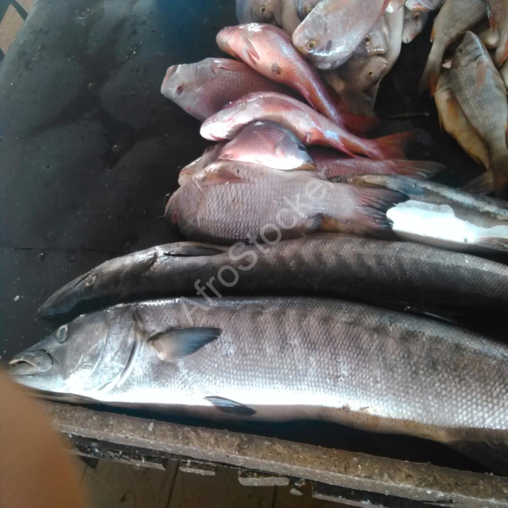 poisson sur table marché africain fish on table african market