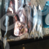 Poisson frais expose marche africain
