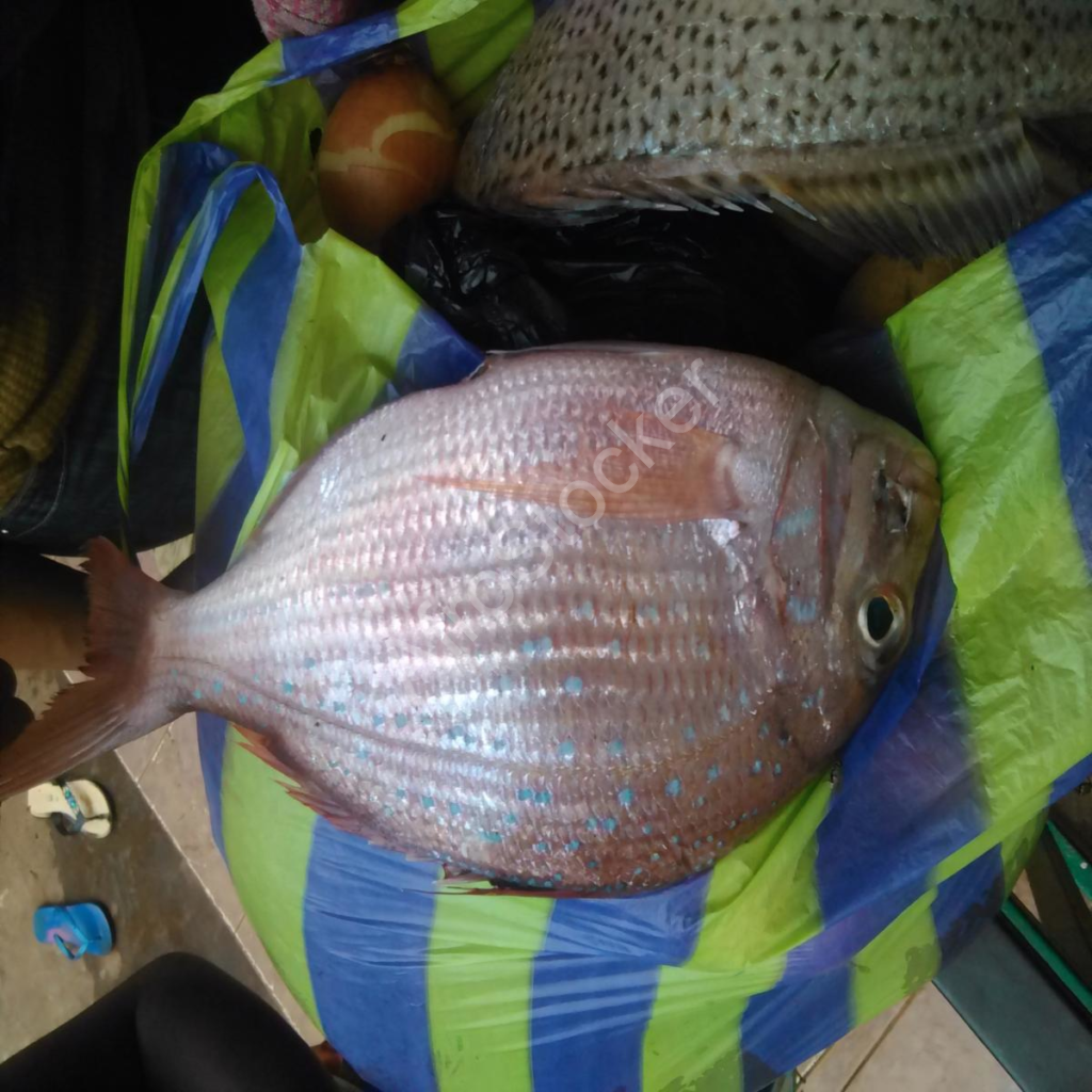 produits de la mer marché africain table seafood african market