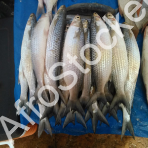 scene-marche-africain-poisson-table Scene marche africain poisson table