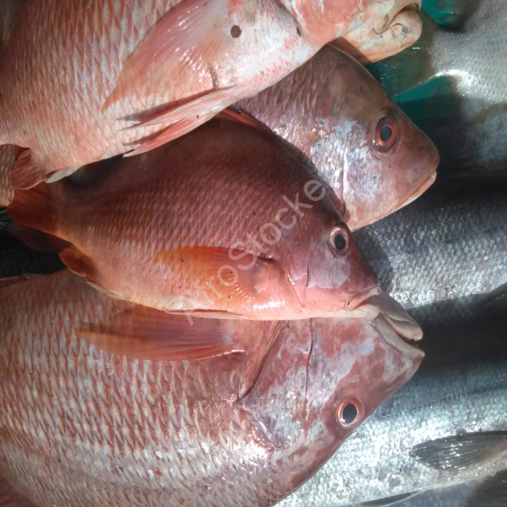 vendeur de poisson marché africain table fish vendor african market stall