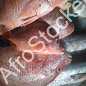 Vendeur poisson marche afrique table