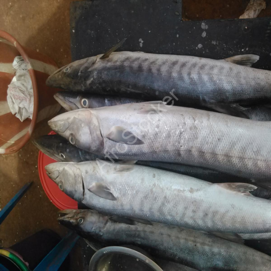vente poisson marché africain table fish sale african market stall