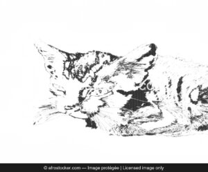 Petit Chat Africain — Compagnon Vie Quotidienne Village