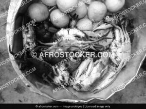 Crabes d'Afrique — Pêche Artisanale Afrique de l'Ouest