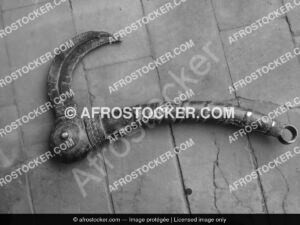 Defricheuse Africaine — Travail de la Terre Village