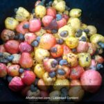 Fruits d'Acajou Africains — Agriculture et Biodiversité