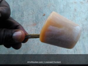 Pain de Singe Africain — Fruit du Baobab Tradition