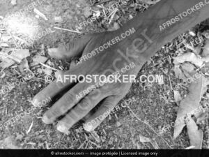 Mains Africaines Unies — Transmission et Generations Mains Africaines Unies — Transmission et Generations