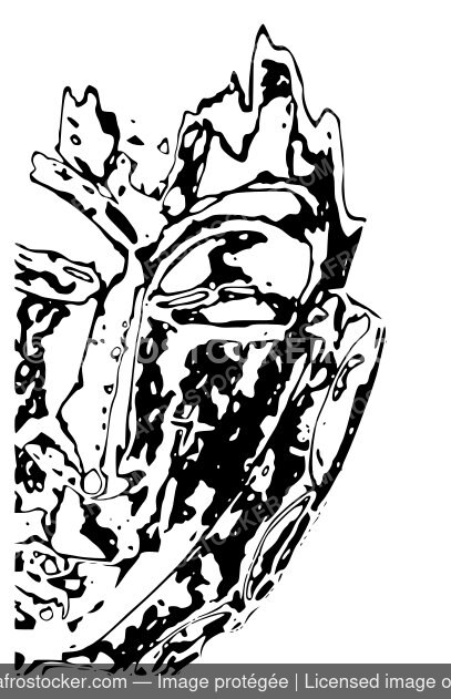 Masque africaine166