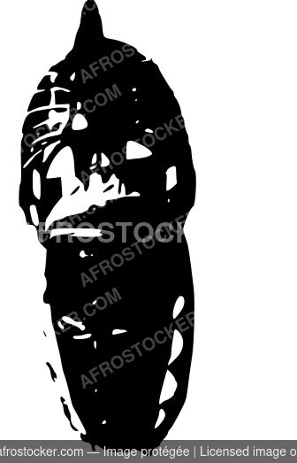 masque-africaine290 Masque africaine290