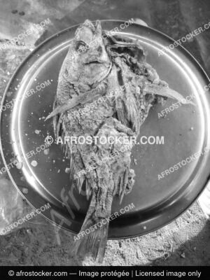 Poisson fume traditionnel afrique afrostocker