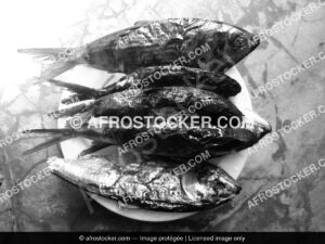 Poisson seche en vente marche africain afrostocker