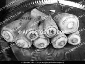 Gombo et Produits Agricoles Africains — Agriculture Traditionnelle