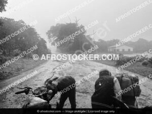 Route Africaine sous la Pluie — Saison des Pluies Route Africaine sous la Pluie — Saison des Pluies