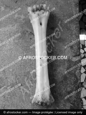 Objet Africain Ancestral — Patrimoine Culturel Authentique Objet Africain Ancestral — Patrimoine Culturel Authentique