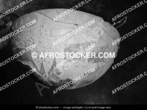 Calebasse Africaine — Artisanat Naturel Traditionnelle