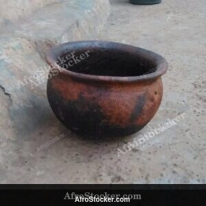 Canari Africain En Terre