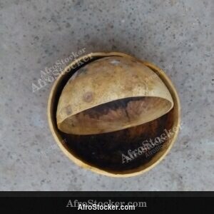 African Calabash