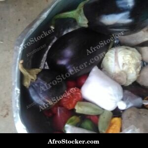 African Spice Condiments Collection