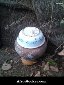 Traditional African Canari, Decorative Pottery Illustration