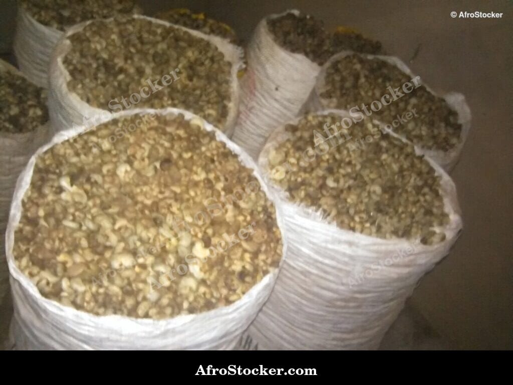 Cashew Nuts in Sacks, Storage Africa