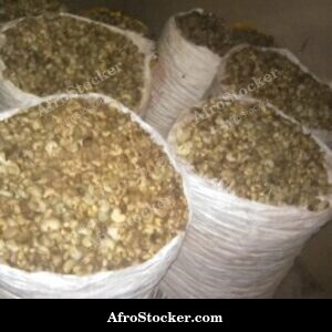 Cashew Nuts in Sacks, Storage Africa