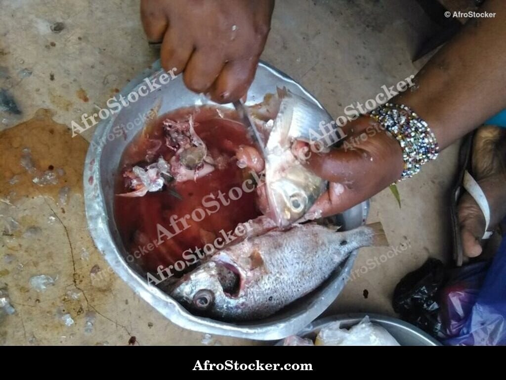 Cooking Fish, Traditional African Kitchen