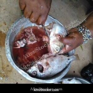 Cooking Fish, Traditional African Kitchen